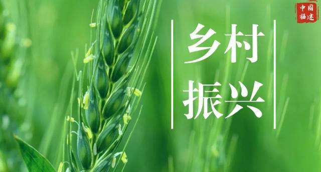 中国三农产业发展联盟 内蒙古牧兰云科技集团有限公司 合作成立中国三农产业集团有限